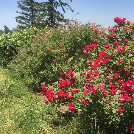 Bed And Breakfast John And Lena Tatev Esterno foto