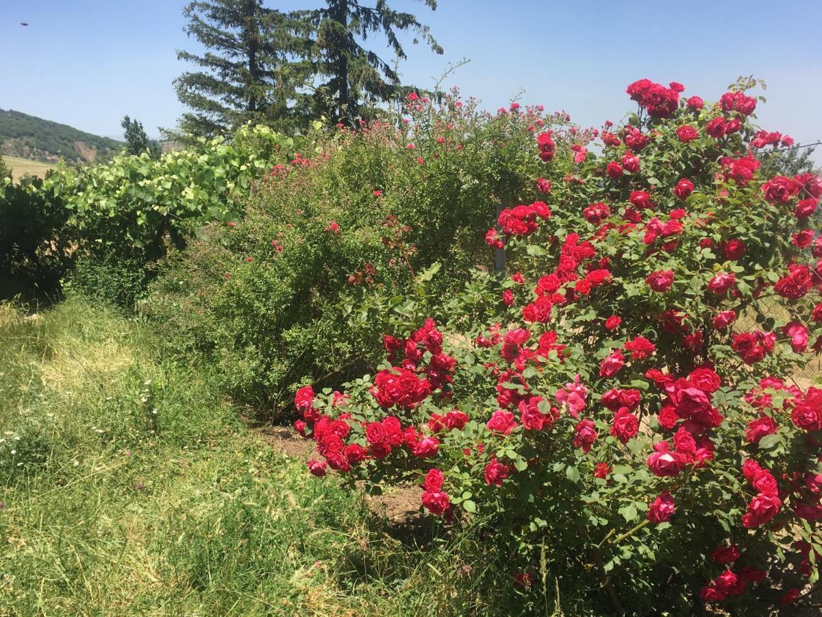 Bed And Breakfast John And Lena Tatev Esterno foto