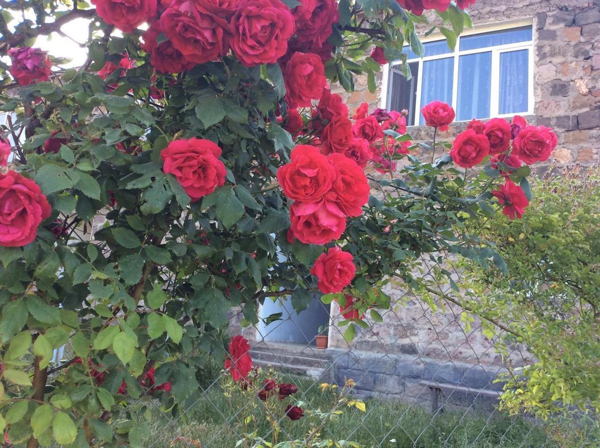 Bed And Breakfast John And Lena Tatev Esterno foto