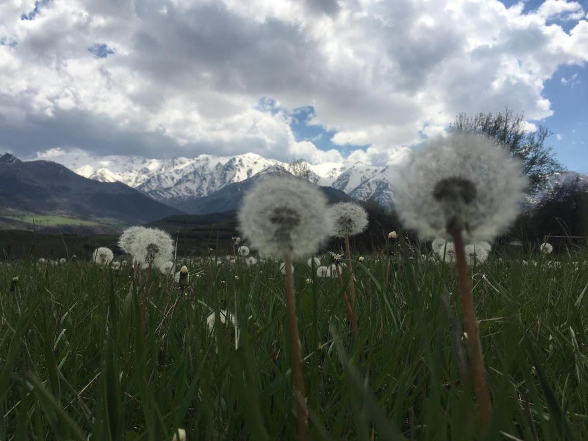 Bed And Breakfast John And Lena Tatev Esterno foto