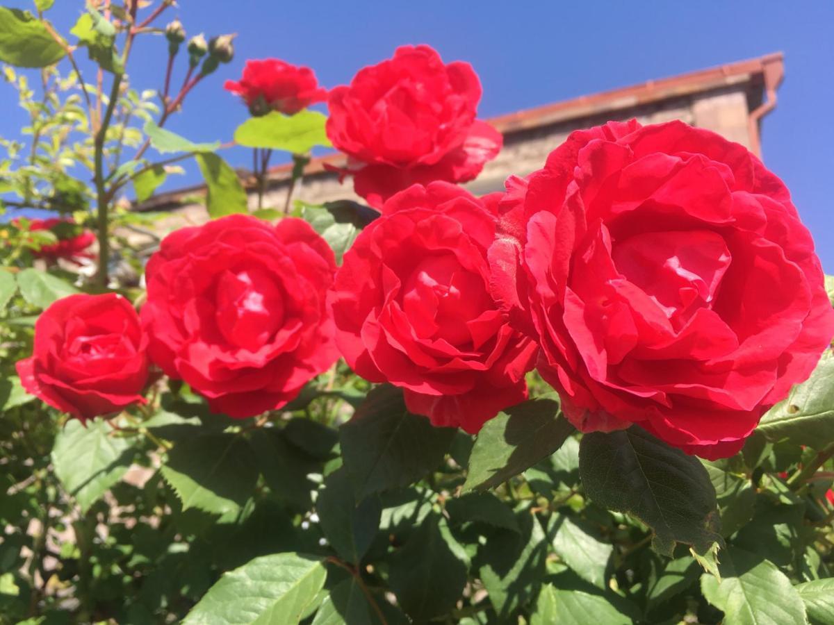 Bed And Breakfast John And Lena Tatev Esterno foto